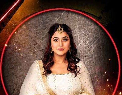 ਬਿਗ ਬੌਸ ਅੰਦਰ ਰਹਿ ਰਹੇ ਮੈਂਬਰਾਂ ਨੇ ਵੀ ਮੰਨੀ ਸ਼ਹਿਨਾਜ਼ ਦੀ ਸਰਦਾਰੀ, ਦਿੱਤਾ ਇਹ ਤਮਗਾ