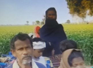 ਕੁੱਤਿਆਂ ਦਾ ਆਤੰਕ: ਨਾਨੀ ਦੇ ਘਰ ਤੋਂ ਆ ਰਹੀ 12 ਸਾਲ ਦੀ ਬੱਚੀ ਨੂੰ ਨੋਚ ਕੇ ਖਾ ਗਏ ਆਵਾਰਾ ਕੁੱਤੇ