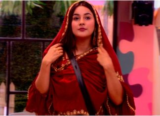 ਸ਼ਹਿਨਾਜ਼ ਗਿੱਲ ਬਿਗ ਬੌਸ ਚੋਂ ਬਾਹਰ, ਇਹਨਾਂ ਦੋਹਾਂ ਵਿੱਚੋਂ ਇੱਕ ਜਿੱਤੇਗਾ