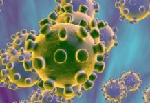 ਸਰਕਾਰ ਦਾ ਸੂਬੇ ਦੇ ਸਾਰੇ ਅਫਸਰਾਂ ਨੂੰ ਹੁਕਮ, ਕੋਰੋਨਾ ਵਾਇਰਸ ਤੇ ਰਖੋ ਪੈਨੀ ਨਜ਼ਰ