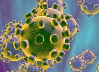 जालंधर में वीरवार को 32 कोरोना केस, पढ़िए मोहल्ले और मरीजों की उम्र की पूरी डिटेल