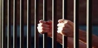 ਅਮਰੀਕਾ ਦੀਆਂ ਜੇਲਾਂ ਵਿੱਚ ਹਨ 8447 ਭਾਰਤੀ ਨਜਰਬੰਦ