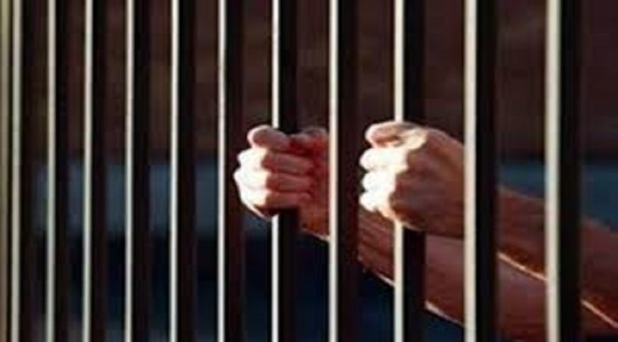 ਅਮਰੀਕਾ ਦੀਆਂ ਜੇਲਾਂ ਵਿੱਚ ਹਨ 8447 ਭਾਰਤੀ ਨਜਰਬੰਦ