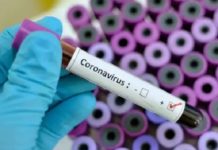 ਕੋਰੋਨਾ : ਨੋਇਡਾ ਦਾ ਚੌਥਾ ਕੇਸ ਪਾਜ਼ੀਟਿਵ, ਇੰਡੋਨੇਸ਼ੀਆ ਤੋਂ ਆਇਆ ਵਿਅਕਤੀ ਸੰਕਰਮਿਤ, ਦੇਸ਼ ‘ਚ ਕੁਲ 149 ਕੇਸ ਆਏ ਸਾਹਮਣੇ