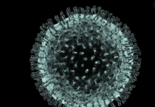 ਸਾਵਧਾਨ ! ਪੰਜਾਬ ‘ਚ 15 ਦਿਨ ‘ਚ ਦੂਜੀ ਮੌਤ, ਅੱਜ 1 ਹੋਰ ਪਾਜ਼ੀਟਿਵ ਕੇਸ ਆਇਆ ਸਾਹਮਣੇ, ਸਟੇਜ਼-3 ‘ਚ ਪੁੱਜਿਆ ਕੋਰੋਨਾ ਜ਼ਿਆਦਾ ਖਤਰਨਾਕ