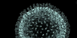 ਸਾਵਧਾਨ ! ਪੰਜਾਬ ‘ਚ 15 ਦਿਨ ‘ਚ ਦੂਜੀ ਮੌਤ, ਅੱਜ 1 ਹੋਰ ਪਾਜ਼ੀਟਿਵ ਕੇਸ ਆਇਆ ਸਾਹਮਣੇ, ਸਟੇਜ਼-3 ‘ਚ ਪੁੱਜਿਆ ਕੋਰੋਨਾ ਜ਼ਿਆਦਾ ਖਤਰਨਾਕ