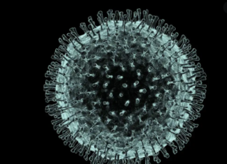 ਕੋਰੋਨਾ : ਦੇਸ਼ ‘ਚ 166 ਅਤੇ ਪੰਜਾਬ ‘ਚ 10 ਮੌਤਾਂ, ਜਲੰਧਰ ਦੇ 3 ਇਲਾਕੇ ਸੀਲ, ਪੜ੍ਹੋ ਲਾਕਡਾਊਨ ਤੇ ਹੌਟਸਪੋਟ ‘ਚ ਕੀ ਹੈ ਅੰਤਰ ?