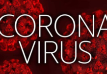 ਪੰਜਾਬ ‘ਚ 1 ਹੋਰ ਪਾਜ਼ੀਟਿਵ ਕੇਸ ਆਇਆ ਸਾਹਮਣੇ, ਹੁਣ ਤੱਕ 2 ਦੀ ਮੌਤ, ਸ਼ਕੀ ਮਾਮਲੇ 1051 – ਵੇਖੋ ਜ਼ਿਲਾ ਵਾਰ ਰਿਪੋਰਟ