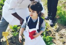 Video : ਕਿਊਟ ਤੈਮੂਰ ਅਲੀ ਖਾਨ ਦਾ ਖੇਤੀ ਕਰਦੇ ਹੋਏ ਸੋਸ਼ਲ ਮੀਡੀਆ ‘ਤੇ ਵੀਡੀਓ ਵਾਇਰਲ