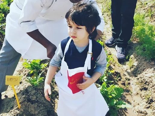 Video : ਕਿਊਟ ਤੈਮੂਰ ਅਲੀ ਖਾਨ ਦਾ ਖੇਤੀ ਕਰਦੇ ਹੋਏ ਸੋਸ਼ਲ ਮੀਡੀਆ ‘ਤੇ ਵੀਡੀਓ ਵਾਇਰਲ