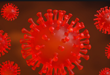 ਦੇਸ਼ ‘ਚ 5ਵੀਂ ਮੌਤ ਕੋਰੋਨਾ ਨਹੀਂ ਦਿਲ ਦਾ ਦੌਰਾ ਪੈਣ ਕਾਰਨ ਹੋਈ – ਇਟਲੀ ਤੋਂ ਆਏ ਸ਼ਖਸ ਦੀ ਮੌਤ