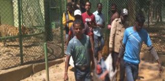 ਬਾਘ ਦੇ ਪਿੰਜਰੇ ‘ਚ ਨੌਜਵਾਨ ਨੇ ਮਾਰੀ ਛਾਲ, ਕਿਵੇਂ ਬਣਿਆ ਬਾਘ ਦਾ ਸ਼ਿਕਾਰ, ਪੜੋ ਖਬਰ