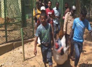 ਬਾਘ ਦੇ ਪਿੰਜਰੇ ‘ਚ ਨੌਜਵਾਨ ਨੇ ਮਾਰੀ ਛਾਲ, ਕਿਵੇਂ ਬਣਿਆ ਬਾਘ ਦਾ ਸ਼ਿਕਾਰ, ਪੜੋ ਖਬਰ