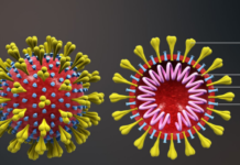COVID-19 : ਪੰਜਾਬ ‘ਚ 7 ਹੋਰ ਮਰੀਜ਼ ਕੋਰੋਨਾ ਪਾਜੀਟਿਵ