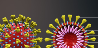 ਜਲੰਧਰ ‘ਚ 3 ਨਵੇਂ ਕੋਰੋਨਾ ਪਾਜ਼ੀਟਿਵ ਮਾਮਲੇ ਆਏ ਸਾਹਮਣੇ, ਸ਼ਹਿਰ ‘ਚ ਕੁੱਲ ਮਰੀਜ਼ਾਂ ਦੀ ਗਿਣਤੀ ਹੋਈ 11