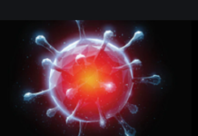 ਪੰਜਾਬ ‘ਚ ਅੱਜ 1 ਮੌਤ, 1 ਪਾਜ਼ੀਟਿਵ ਕੇਸ ਆਇਆ ਸਾਹਮਣੇ, ਹੁਣ ਤੱਕ 5 ਮੌਤਾਂ, 47 ਪਾਜ਼ੀਟਿਵ ਕੇਸ – ਵੇਖੋ ਜ਼ਿਲ੍ਹਾ ਵਾਰ ਰਿਪੋਰਟ