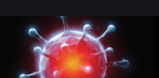 ਪੰਜਾਬ ‘ਚ ਤਬਲਿਗੀ ਜਮਾਤ ਦੀਆਂ ਦੋ ਔਰਤਾਂ ਆਈਆਂ ਕੋਰੋਨਾ ਪਾਜ਼ੀਟਿਵ