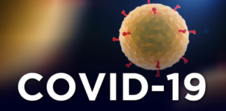 ਜਲੰਧਰ ‘ਚ ਦੂਜਾ ਪਾਜ਼ੀਟਿਵ ਮਾਮਲਾ ਆਇਆ ਸਾਹਮਣੇ, ਨਿਜ਼ਾਤਮ ਨਗਰ ਦੀ ਔਰਤ ਦੇ ਬੇਟੇ ਨੂੰ ਵੀ ਕੋਰੋਨਾ