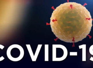 ਜਲੰਧਰ 1 ਹੋਰ ਕੋਰੋਨਾ ਕੇਸ, ਪਾਜ਼ੀਟਿਵ ਮਰੀਜ਼ਾਂ ਦੀ ਗਿਣਤੀ ਵੱਧ ਕੇ ਹੋਈ 48