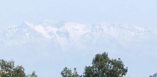 ਜਲੰਧਰ ਦੇ ਘਰਾਂ ਦੀਆਂ ਛੱਤਾਂ ਤੋਂ ਹਿਮਾਚਲ ਦੇ ਪਹਾੜਾਂ ਦਾ ਨਜ਼ਾਰਾ