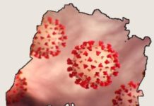 ਪੰਜਾਬ ‘ਚ ਵੱਖ-ਵੱਖ ਜ਼ਿਲ੍ਹਿਆਂ ਤੋਂ ਅੱਜ ਕੋਰੋਨਾ ਦੇ 110 ਨਵੇਂ ਮਾਮਲੇ ਆਏ ਸਾਹਮਣੇ, ਪੜੋ ਕਿਸ ਜ਼ਿਲ੍ਹੇ ਤੋਂ ਕਿੰਨੇ ਕੇਸ