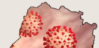 ਪੰਜਾਬ ‘ਚ ਅੱਜ 11 ਪਾਜ਼ੀਟਿਵ ਕੇਸ, ਹੁਣ ਤੱਕ 17 ਮੌਤਾਂ, ਕੋਰੋਨਾ ਮਰੀਜ਼ਾਂ ਦੀ ਗਿਣਤੀ ਵੱਧ ਕੇ ਹੋਈ 298 – ਵੇਖੋ ਜਿਲ੍ਹਾ ਵਾਰ ਰਿਪੋਰਟ