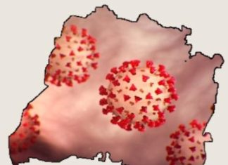 ਪੰਜਾਬ ‘ਚ ਕੋਰੋਨਾ ਦੇ 256 ਪਾਜ਼ੀਟਿਵ ਕੇਸ, 335 ਮਰੀਜ਼ਾਂ ਦੀ ਰਿਪੋਰਟ ਆਉਣੀ ਬਾਕੀ, ਜਲੰਧਰ ਦਾ ਸੈਂਟ੍ਰਲ ਟਾਊਨ ਇਲਾਕਾ ਸੀਲ