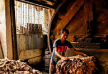 ਕੋਰੋਨਾ ਤੋਂ ਬਾਅਦ ਮੁੜ ਪੈਰਾਂ ‘ਤੇ ਨਹੀਂ ਆ ਸਕੇਗੀ ਜਲੰਧਰ ਦੀ ਲੈਦਰ ਇੰਡਸਟਰੀ, ਹਜ਼ਾਰਾਂ ਲੋਕ ਹੋਣਗੇ ਬੇਰੁਜ਼ਗਾਰ