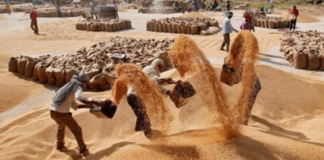 ਕੈਪਟਨ ਸਰਕਾਰ ਵਲੋਂ ਮੰਡੀਆਂ ‘ਚ ਵਰਤੀਆਂ ਜਾਣ ਵਾਲੀਆਂ ਸਾਵਧਾਨੀਆਂ ਹੋਈਆਂ ਜਾਰੀ