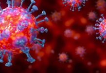 ਜਲੰਧਰ ‘ਚ ਹੁਣ ਤੱਕ 6 ਪਾਜ਼ੀਟਿਵ ਮਾਮਲੇ, ਪੜ੍ਹੋ ਕਿਨ੍ਹਾਂ ਇਲਾਕਿਆਂ ‘ਚ ਪਹੁੰਚਿਆ ਕੋਰੋਨਾ