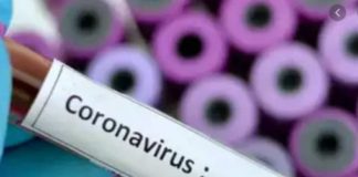 ਪੰਜਾਬ ‘ਚ ਹੁਸ਼ਿਆਰਪੁਰ ਤੇ ਫਰੀਦਕੋਟ ਤੋਂ ਕੋਰੋਨਾ ਦੇ 5 ਹੋਰ ਮਾਮਲੇ ਆਏ ਸਾਹਮਣੇ, ਸੂਬੇ ‘ਚ ਗਿਣਤੀ ਹੋਈ 347