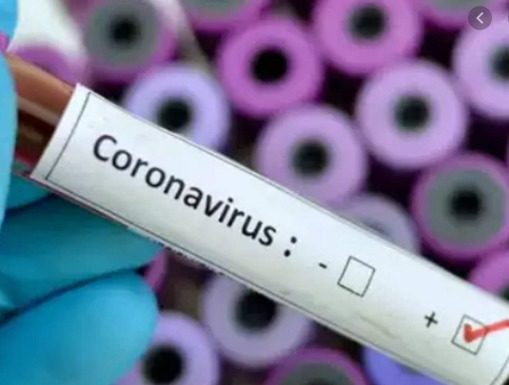 ਪੰਜਾਬ ‘ਚ ਹੁਸ਼ਿਆਰਪੁਰ ਤੇ ਫਰੀਦਕੋਟ ਤੋਂ ਕੋਰੋਨਾ ਦੇ 5 ਹੋਰ ਮਾਮਲੇ ਆਏ ਸਾਹਮਣੇ, ਸੂਬੇ ‘ਚ ਗਿਣਤੀ ਹੋਈ 347