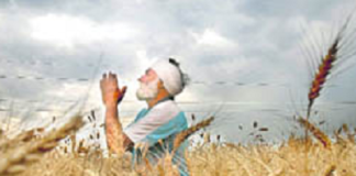 ਪੰਜਾਬ ‘ਚ ਵੱਡਾ ਹੋ ਰਿਹਾ ਕਿਸਾਨਾਂ ਦਾਂ ਸੰਕਟ, ਕੋਰੋਨਾ ਨੇ ਫੇਰਿਆ ਕਣਕ ਦੀ ਵਾਢੀ ਤੇ ਵਿਸਾਖੀ ਦੀਆਂ ਖੁਸ਼ੀਆਂ ‘ਤੇ ਪਾਣੀ