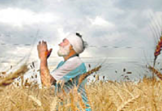 ਪੰਜਾਬ ‘ਚ ਵੱਡਾ ਹੋ ਰਿਹਾ ਕਿਸਾਨਾਂ ਦਾਂ ਸੰਕਟ, ਕੋਰੋਨਾ ਨੇ ਫੇਰਿਆ ਕਣਕ ਦੀ ਵਾਢੀ ਤੇ ਵਿਸਾਖੀ ਦੀਆਂ ਖੁਸ਼ੀਆਂ ‘ਤੇ ਪਾਣੀ