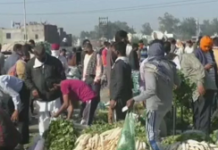 ਕੋਵਿਡ-19 : ਕਰਫ਼ਿਊ ‘ਚ ਹੀ ਜਲੰਧਰ ਸਬਜ਼ੀ ਮੰਡੀ ‘ਚ ਲੋਕਾਂ ਦਾ ਮੇਲਾ