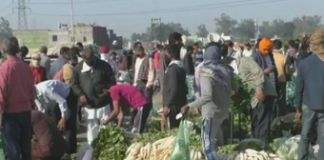 ਕੋਵਿਡ-19 : ਕਰਫ਼ਿਊ ‘ਚ ਹੀ ਜਲੰਧਰ ਸਬਜ਼ੀ ਮੰਡੀ ‘ਚ ਲੋਕਾਂ ਦਾ ਮੇਲਾ