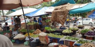 ਜਲੰਧਰ ‘ਚ ਹੁਣ ਔਡ-ਇਵਨ ਫਾਰਮੂਲੇ ਨਾਲ ਵਿਕਣਗੇ ਸਬਜ਼ੀਆਂ ਤੇ ਫ਼ਲ, ਪੜ੍ਹੋ ਕੀ ਹੋਣ ਜਾ ਰਹੇ ਬਦਲਾਅ