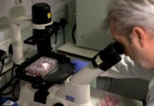 ਸਿੰਗਾਪੁਰ ਦੇ ਖੋਜਕਰਤਾਵਾਂ ਦਾ ਮੁਲਾਂਕਣ – ਦੁਨੀਆ ਵਿਚੋਂ 9 ਦਿਸੰਬਰ ਤੱਕ ਪੂਰੀ ਤਰ੍ਹਾਂ ਖਤਮ ਹੋ ਜਾਏਗਾ ਕੋਰੋਨਾ