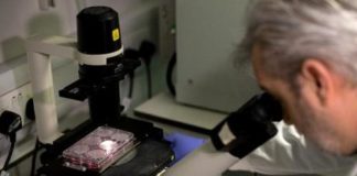 ਸਿੰਗਾਪੁਰ ਦੇ ਖੋਜਕਰਤਾਵਾਂ ਦਾ ਮੁਲਾਂਕਣ – ਦੁਨੀਆ ਵਿਚੋਂ 9 ਦਿਸੰਬਰ ਤੱਕ ਪੂਰੀ ਤਰ੍ਹਾਂ ਖਤਮ ਹੋ ਜਾਏਗਾ ਕੋਰੋਨਾ