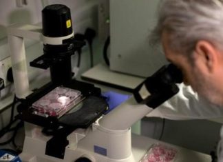 ਸਿੰਗਾਪੁਰ ਦੇ ਖੋਜਕਰਤਾਵਾਂ ਦਾ ਮੁਲਾਂਕਣ – ਦੁਨੀਆ ਵਿਚੋਂ 9 ਦਿਸੰਬਰ ਤੱਕ ਪੂਰੀ ਤਰ੍ਹਾਂ ਖਤਮ ਹੋ ਜਾਏਗਾ ਕੋਰੋਨਾ