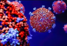 ਬਠਿੰਡਾ ‘ਚ 2 ਹੋਰ ਕੋਰੋਨਾ ਦੇ ਮਾਮਲੇ ਆਏ ਸਾਹਮਣੇ, ਪਾਜ਼ੀਟਿਵ ਮਰੀਜਾਂ ਦੀ ਗਿਣਤੀ ਵੱਧ ਕੇ ਹੋਈ 39