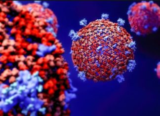 ਜਲੰਧਰ ‘ਚ ਅੱਜ 3 ਨਵੇਂ ਕੋਰੋਨਾ ਦੇ ਮਾਮਲੇ ਆਏ ਸਾਹਮਣੇ, 23 ਮਰੀਜ਼ਾਂ ਨੂੰ ਮਿਲੀ ਹਸਪਤਾਲ ਤੋਂ ਛੁੱਟੀ