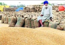 ਖਰੀਦ ਕੀਤੀ ਕਣਕ ਦੀ ਨਾਲੋ-ਨਾਲ ਲਿਫਟਿੰਗ ਕਰਵਾਉਣੀ ਯਕੀਨੀ ਬਣਾਈ ਜਾਵੇ : ਡੀਸੀ