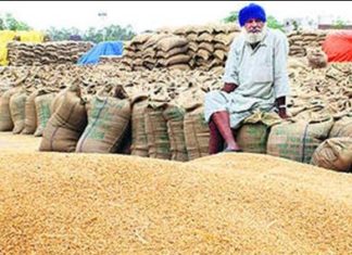 ਖਰੀਦ ਕੀਤੀ ਕਣਕ ਦੀ ਨਾਲੋ-ਨਾਲ ਲਿਫਟਿੰਗ ਕਰਵਾਉਣੀ ਯਕੀਨੀ ਬਣਾਈ ਜਾਵੇ : ਡੀਸੀ