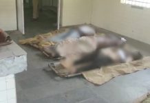 ਇਕ ਔਰਤ ਦੇ ਕਤਲ ਨੂੰ ਛੁਪਾਉਣ ਲਈ ਵਿਅਕਤੀ ਨੇ 9 ਹੋਰ ਲੋਕਾਂ ਦਾ ਕੀਤਾ ਕਤਲ, ਲਾਸ਼ਾਂ ਨੂੰ ਖੂਹ ‘ਚ ਸੁੱਟਿਆ