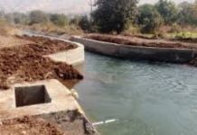 ਪਟਿਆਲਾ ਫੀਡਰ-1 ਤੋਂ ਨਿਕਲਦੀ ਕੋਟਲਾ ਬ੍ਰਾਂਚ ਨਹਿਰ 29 ਮਈ ਤੋਂ 11 ਜੂਨ ਤੱਕ ਰਹੇਗੀ ਬੰਦ