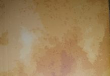 ਅਰਜ਼ੋਈਆਂ ਦੀਆਂ ਕਵਿਤਾਵਾਂ ਸਮਕਾਲ ਦੇ ਹਾਣ ਦੀਆਂ