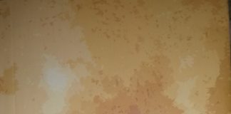 ਅਰਜ਼ੋਈਆਂ ਦੀਆਂ ਕਵਿਤਾਵਾਂ ਸਮਕਾਲ ਦੇ ਹਾਣ ਦੀਆਂ