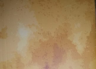 ਅਰਜ਼ੋਈਆਂ ਦੀਆਂ ਕਵਿਤਾਵਾਂ ਸਮਕਾਲ ਦੇ ਹਾਣ ਦੀਆਂ