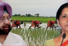 ਕੈਪਟਨ ਨੇ ਕਿਹਾ- ਵਿੱਤ ਮੰਤਰੀ ਨਿਰਮਲਾ ਸੀਤਾਰਮਨ ਦਾ ਖੇਤੀਬਾੜੀ ਲਈ ਐਲਾਨ ਜੁਮਲਿਆਂ ਤੋਂ ਸਿਵਾਏ ਕੁਝ ਨਹੀਂ